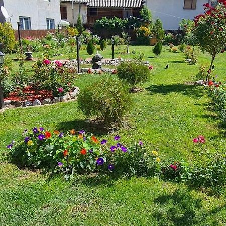 Stone Tower Hotel Plav Bagian luar foto