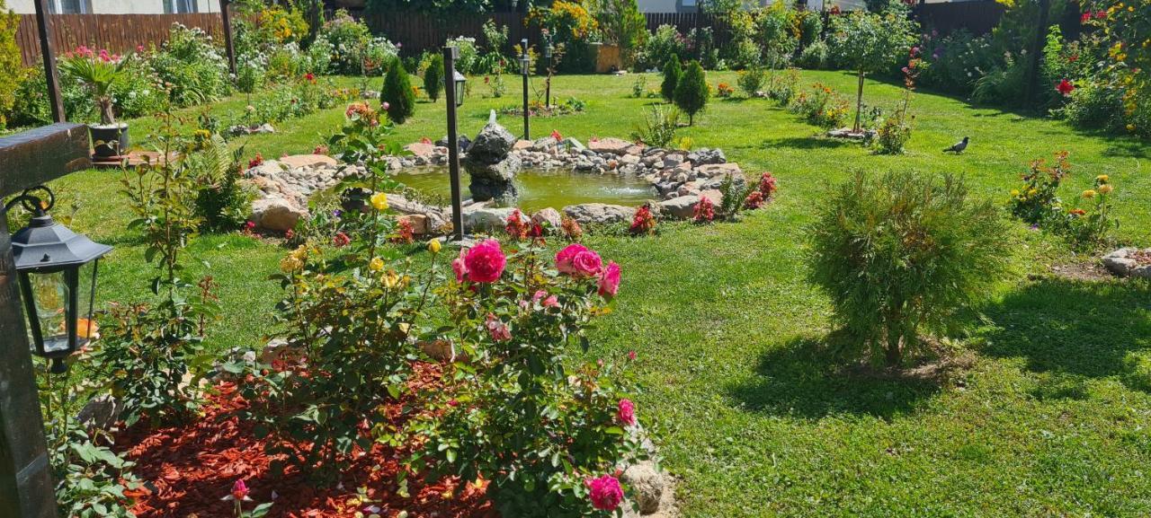 Stone Tower Hotel Plav Bagian luar foto